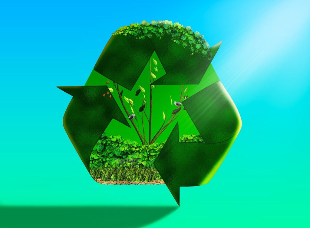 recycled, beautiful flowers, flower background, flower wallpaper, eco system, trees, birds, flowers, nature, vines, grass, dirt, sand, butterflies, earth, environment