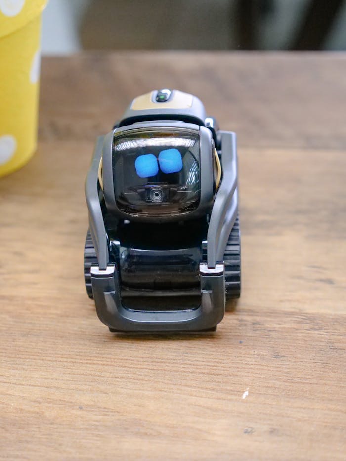 pexels photo 8566444.jpeg